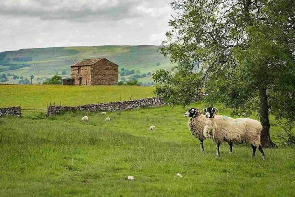 Westside Cottage, Newby, Clapham, Yorkshire Dales National Park, Famous Three Peaks, Near The Lake District, Pets Are Welcome Newby  Экстерьер фото